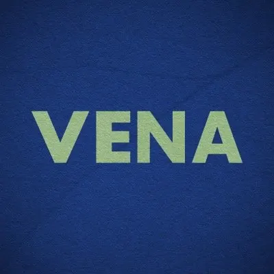 venaconsultoria