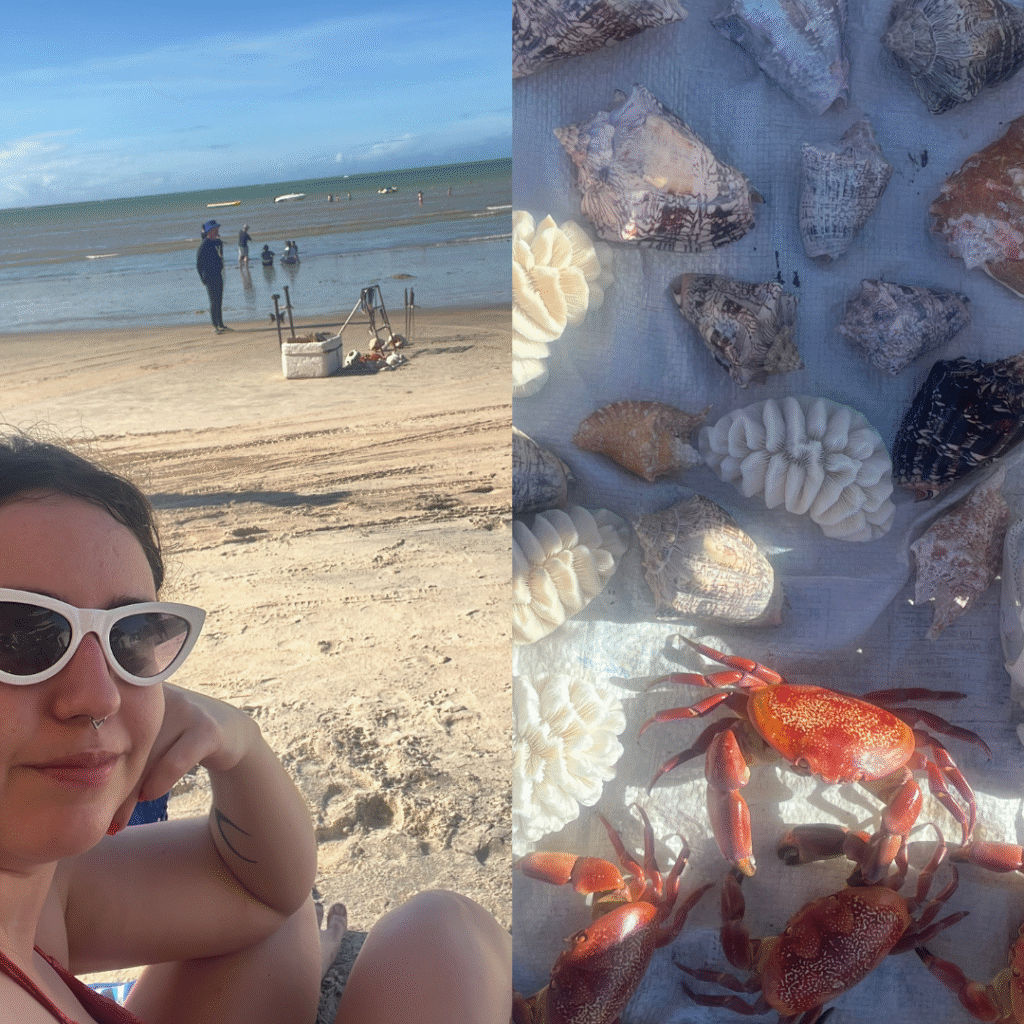 natal rio grande do norte